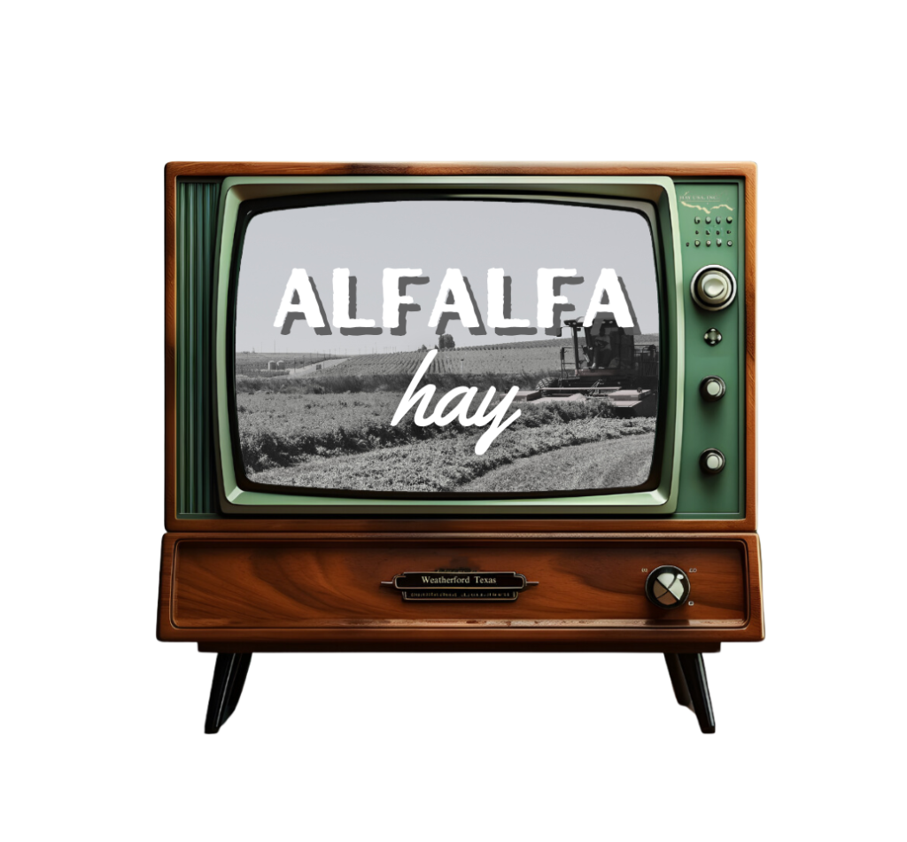 HayUSA Alfalfa